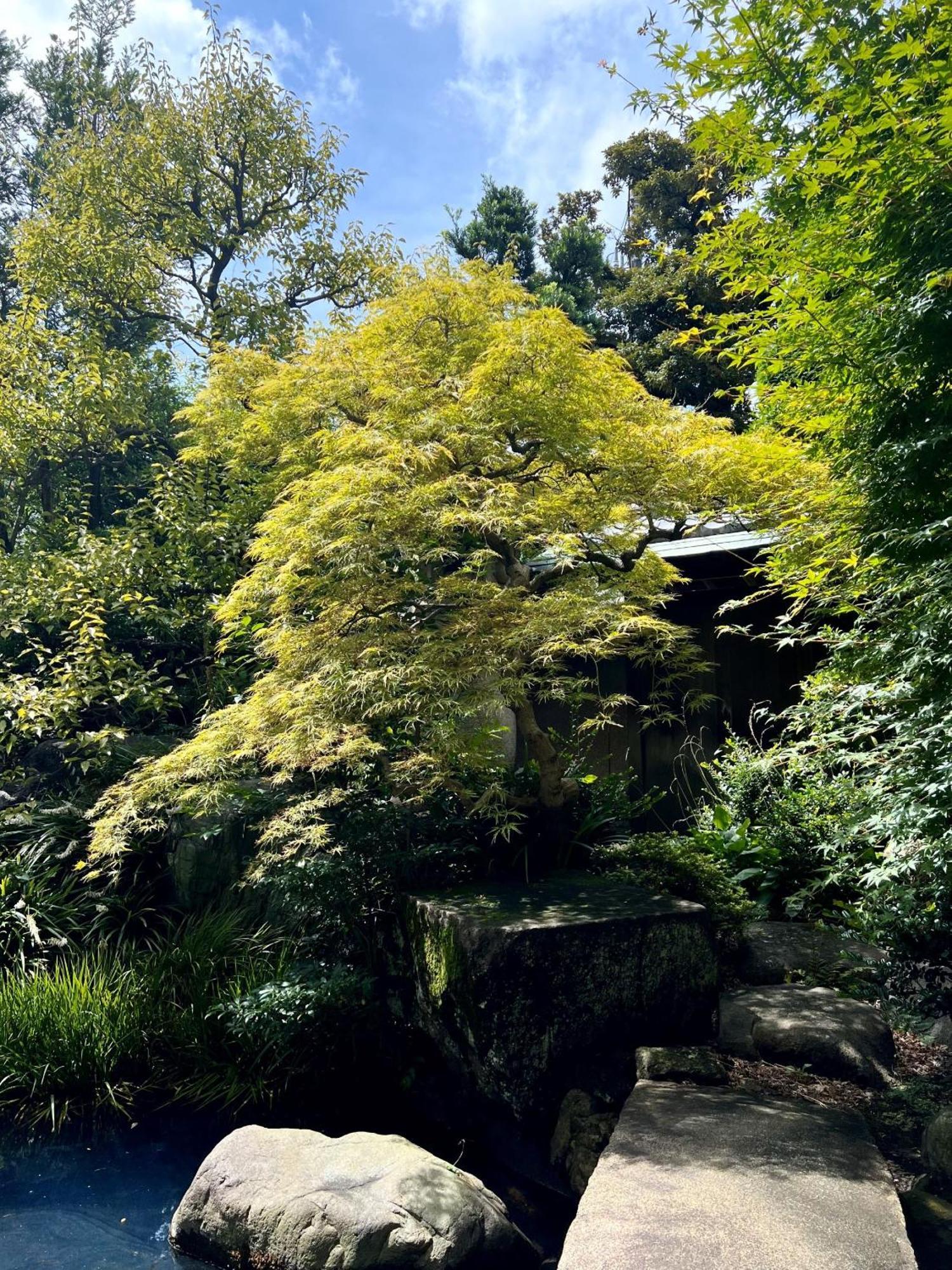 Shinjuku Sun Park Tokio
